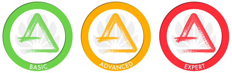 Netcamp Training - Take your knowledge to the next level